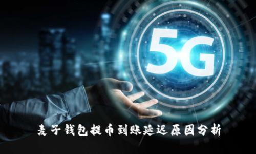 麦子钱包提币到账延迟原因分析