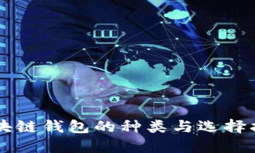 区块链钱包的种类与选择指南