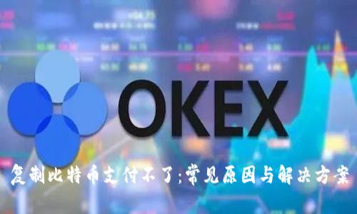 复制比特币支付不了：常见原因与解决方案